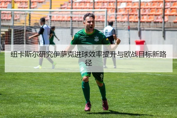 纽卡斯尔研究伊萨克进球效率提升与欧战目标新路径